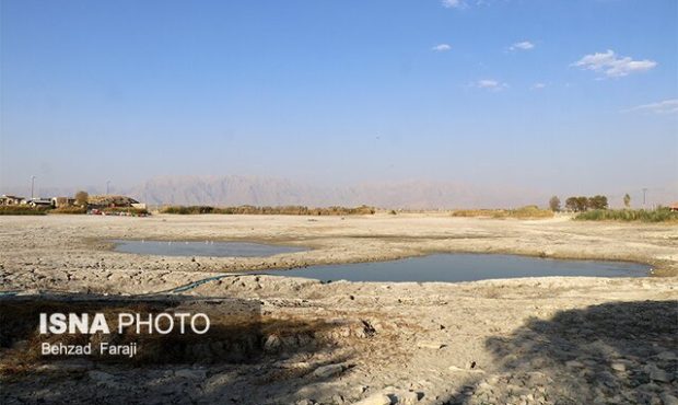 «سراب نیلوفر» در آستانه خشک‌شدن