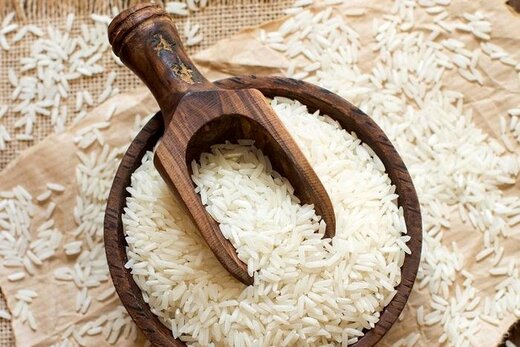 سایه‌ واردات سیاه بر سر برنج ناب ایرانی
